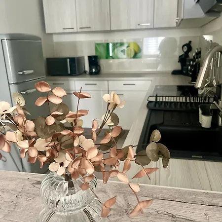 Apartament Harzfokus - Beautynest - #netflix#wlan#sauna#zentrum Wernigerode